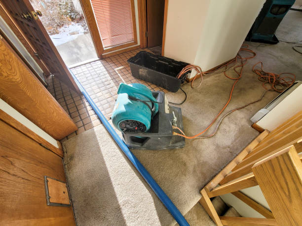 Best 24-hour water damage restoration  in Mesquite, TX