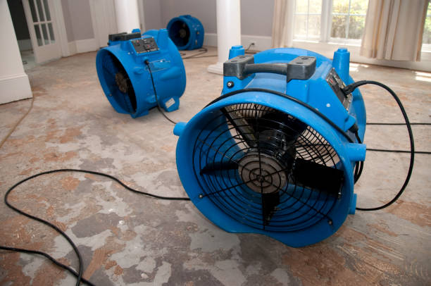 Best Basement water damage restoration  in Mesquite, TX