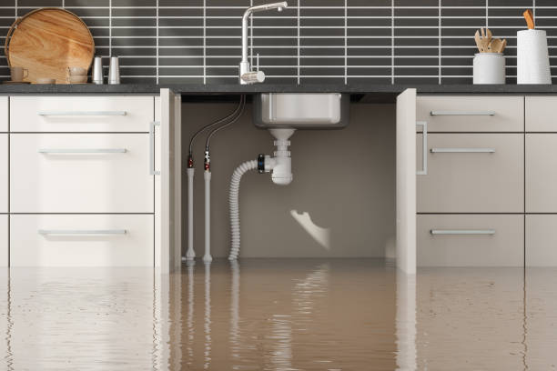 Best Local water damage restoration  in Mesquite, TX