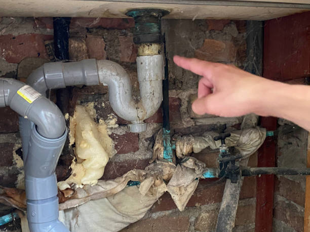 Best Water damage restoration company  in Mesquite, TX